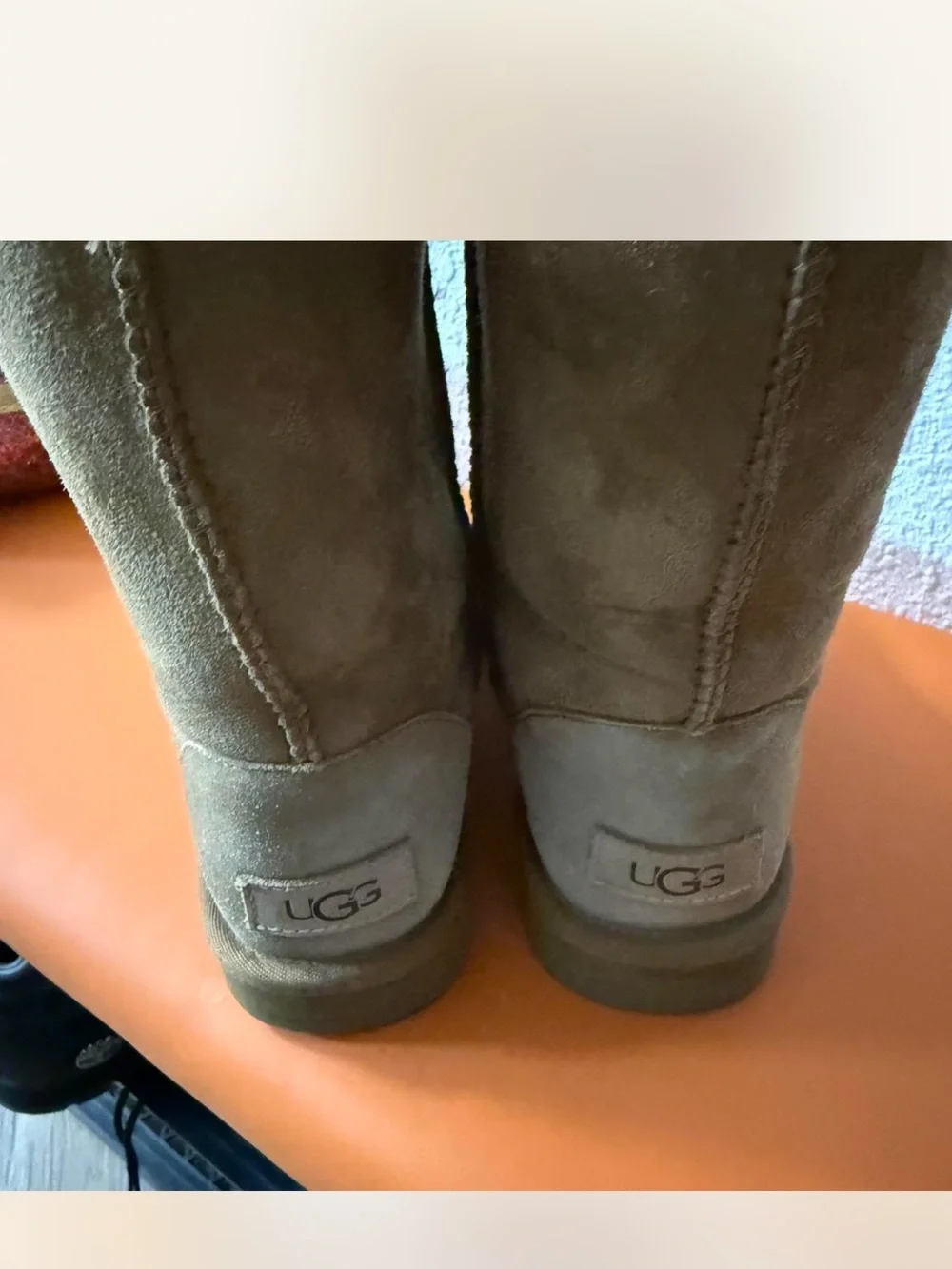UGGS Plush-Lined Suede Winter Chestnut